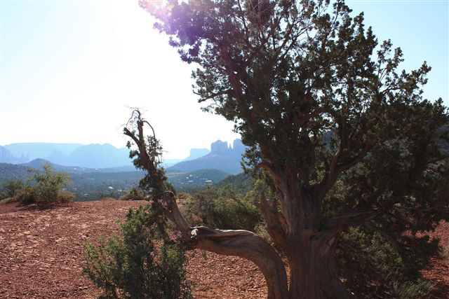Sedona-fd0056